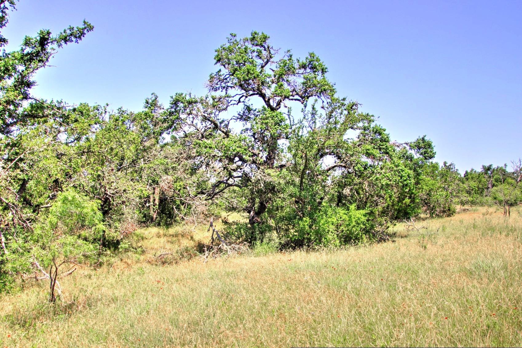 Lot 6 RM 1323, Willow City, TX 78675