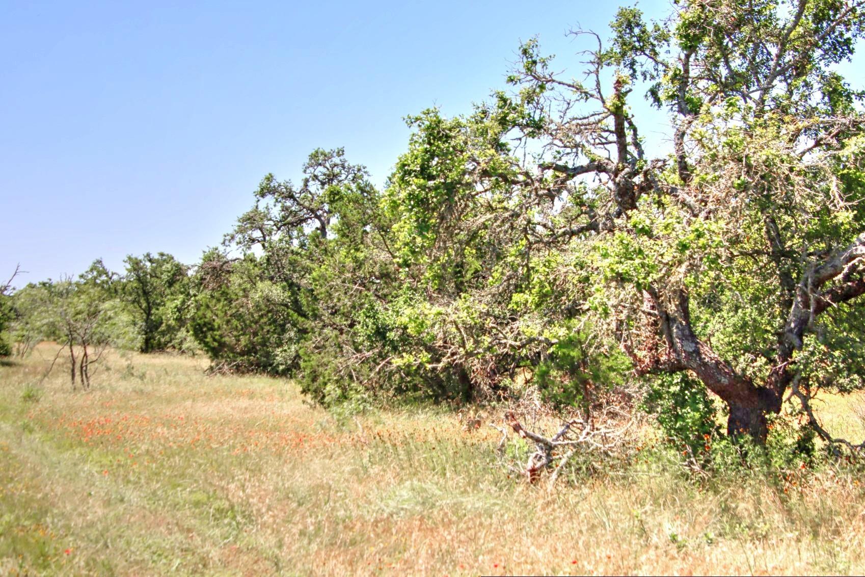 Lot 6 RM 1323, Willow City, TX 78675