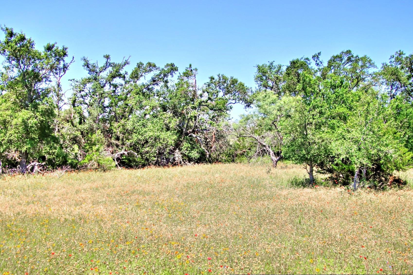 Lot 6 RM 1323, Willow City, TX 78675