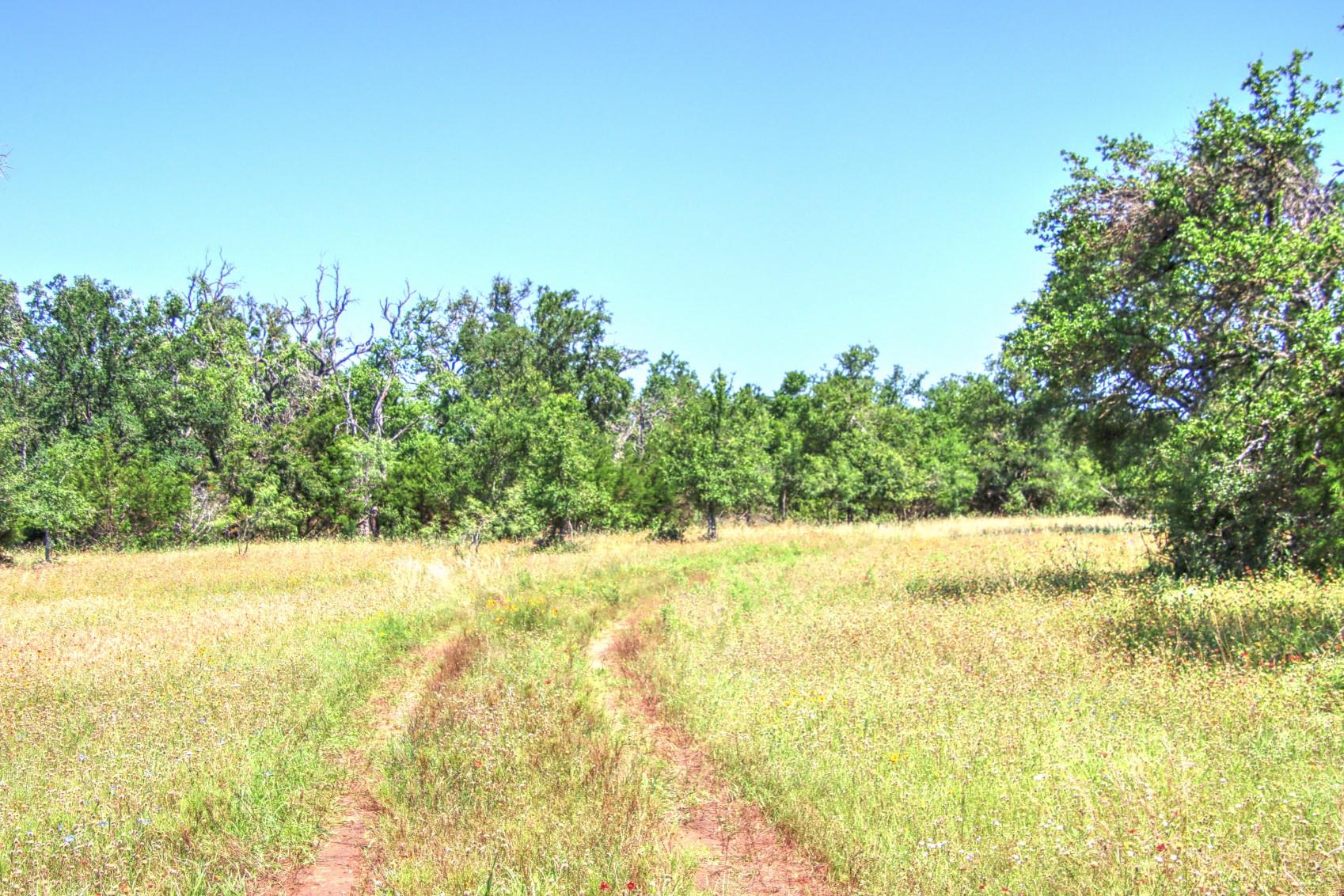 Lot 6 RM 1323, Willow City, TX 78675