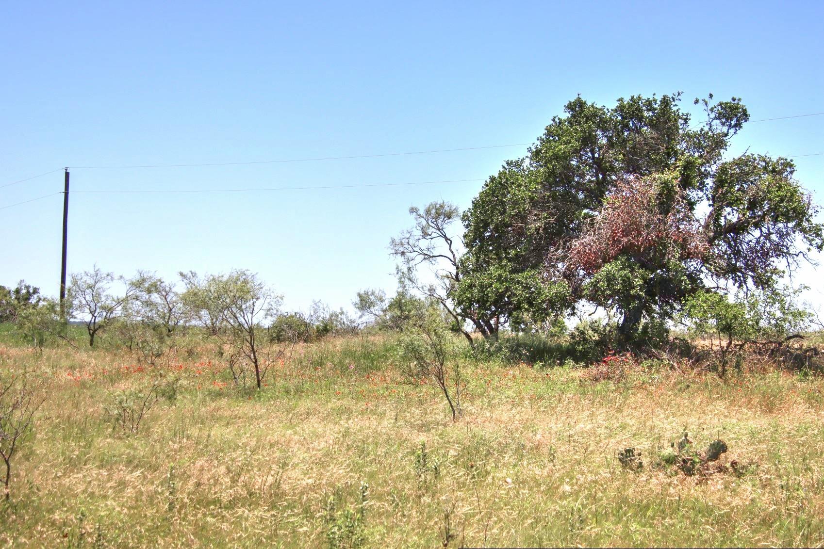 Lot 6 RM 1323, Willow City, TX 78675