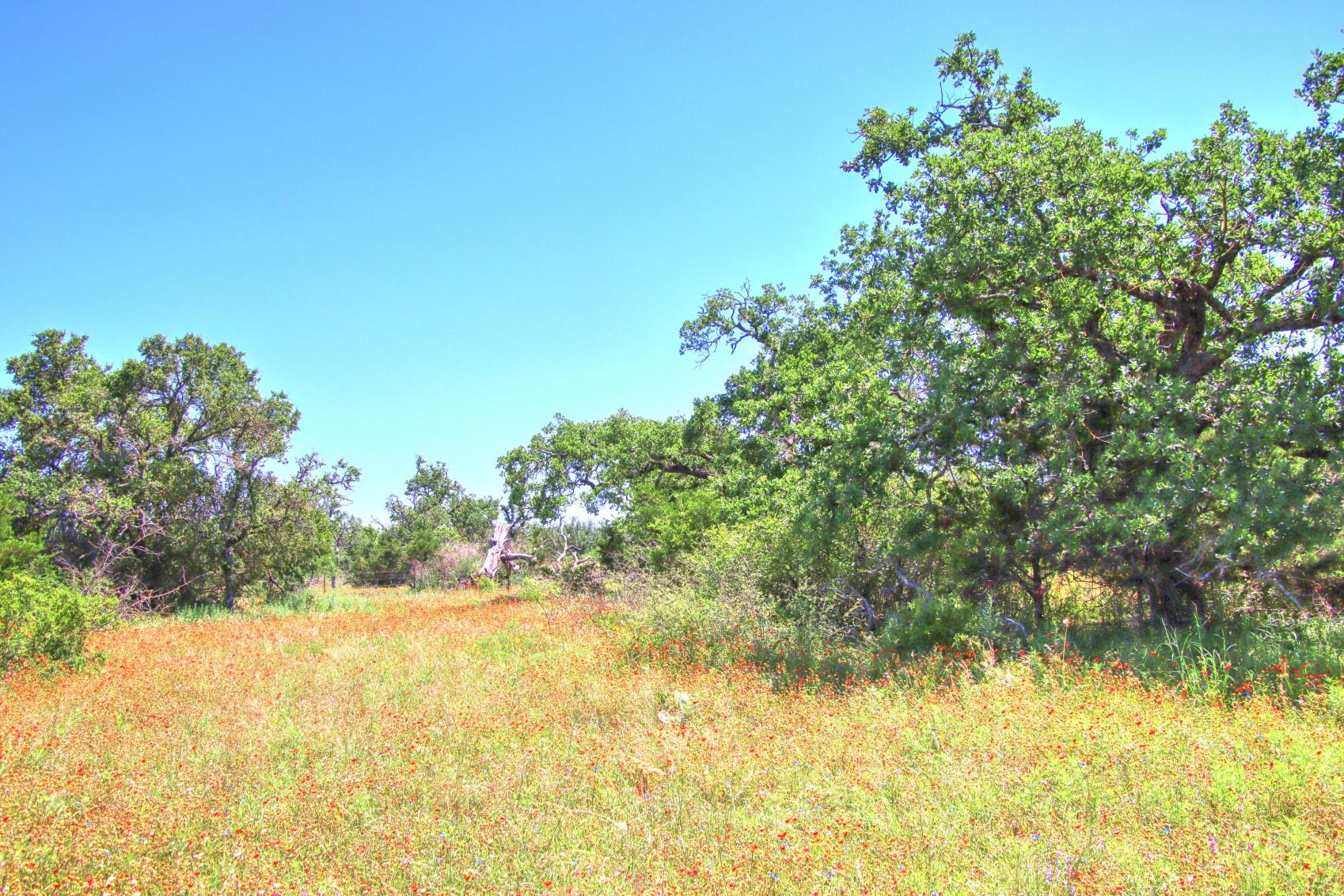 Lot 6 RM 1323, Willow City, TX 78675