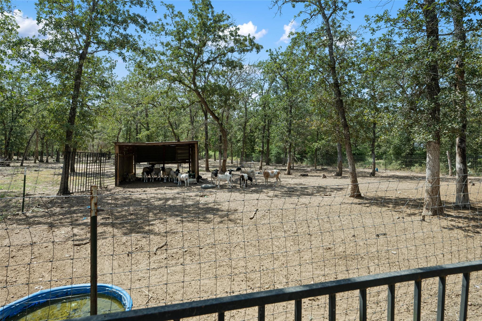 485 Bridgestone Ct, Lockhart, TX 78644