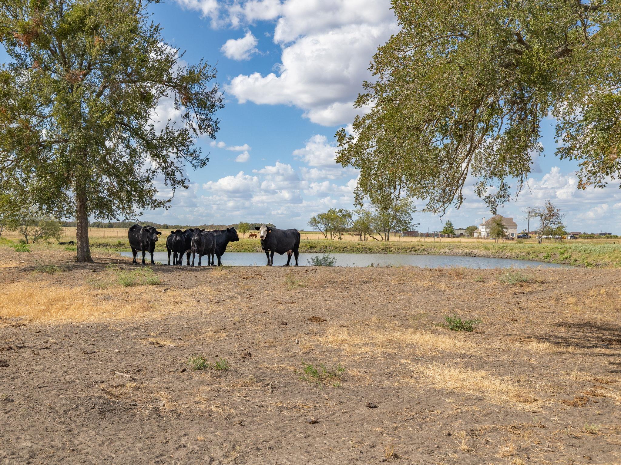 1801 County Road 470, Coupland, TX 78615