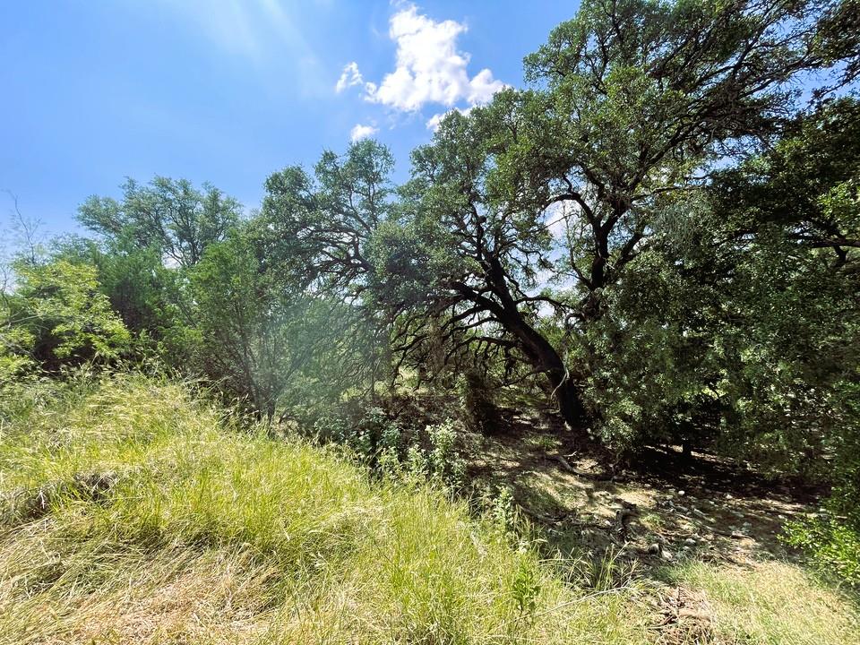 153 Live Oak Mott Dr, Goldthwaite, TX 76844