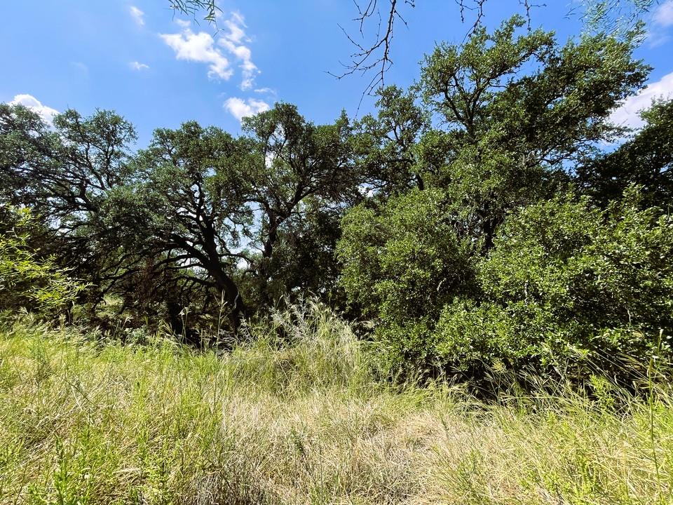 153 Live Oak Mott Dr, Goldthwaite, TX 76844