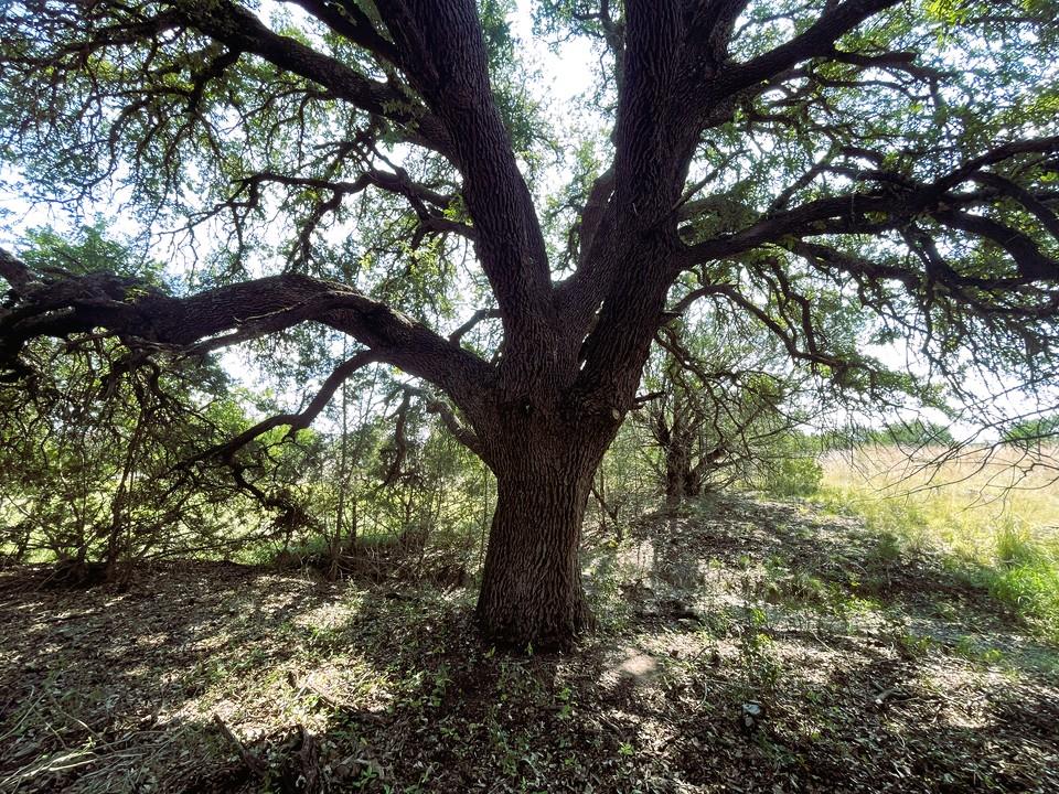 153 Live Oak Mott Dr, Goldthwaite, TX 76844