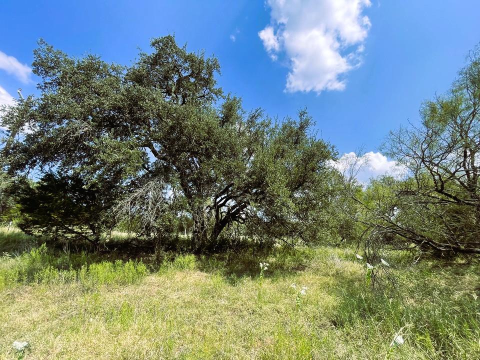 153 Live Oak Mott Dr, Goldthwaite, TX 76844