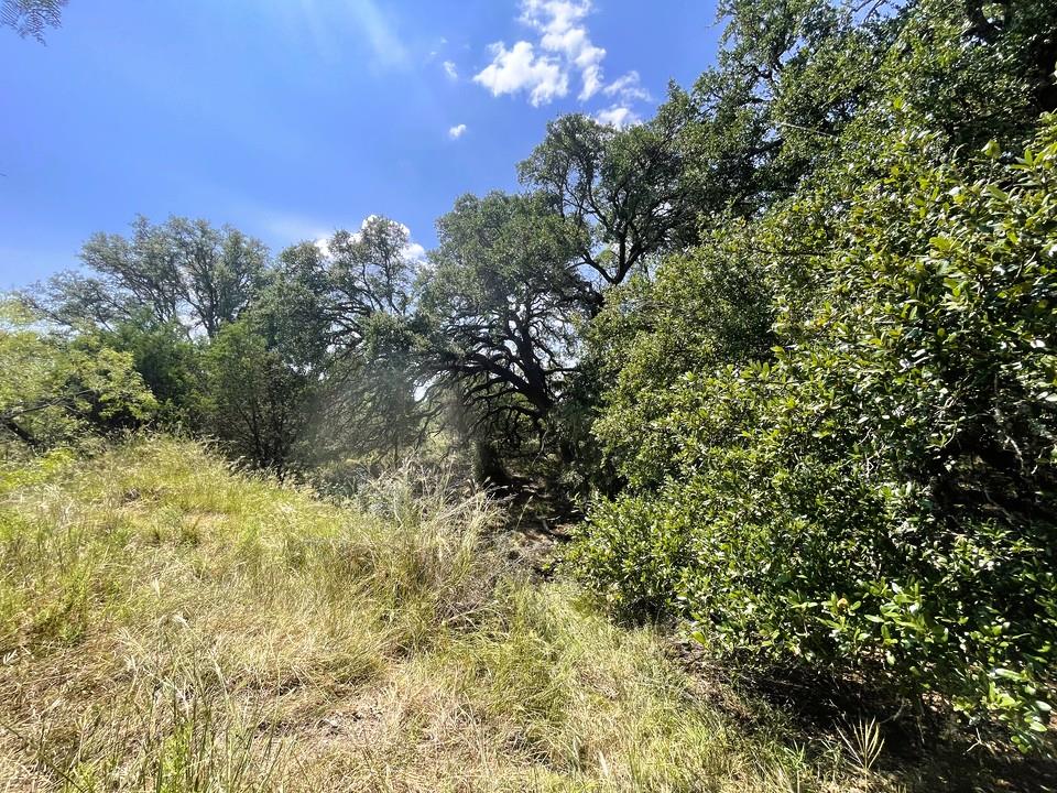 153 Live Oak Mott Dr, Goldthwaite, TX 76844