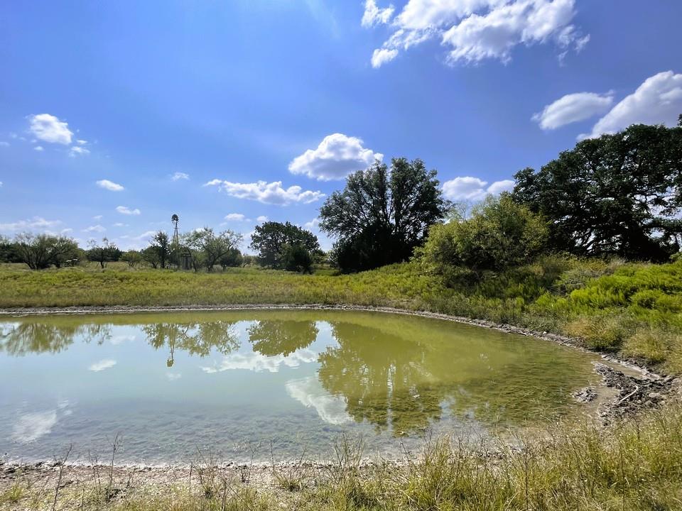 153 Live Oak Mott Dr, Goldthwaite, TX 76844