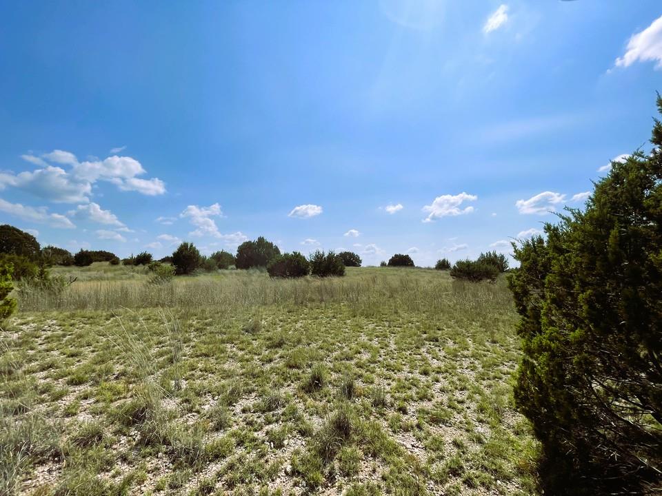 153 Live Oak Mott Dr, Goldthwaite, TX 76844