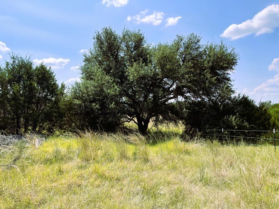 153 Live Oak Mott Dr, Goldthwaite, TX 76844