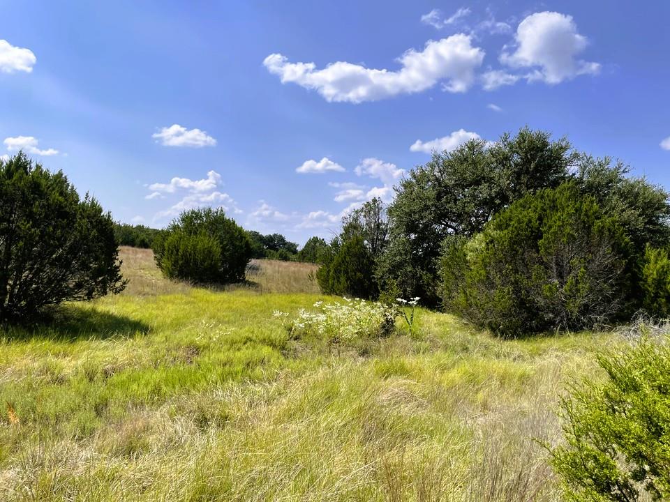 153 Live Oak Mott Dr, Goldthwaite, TX 76844