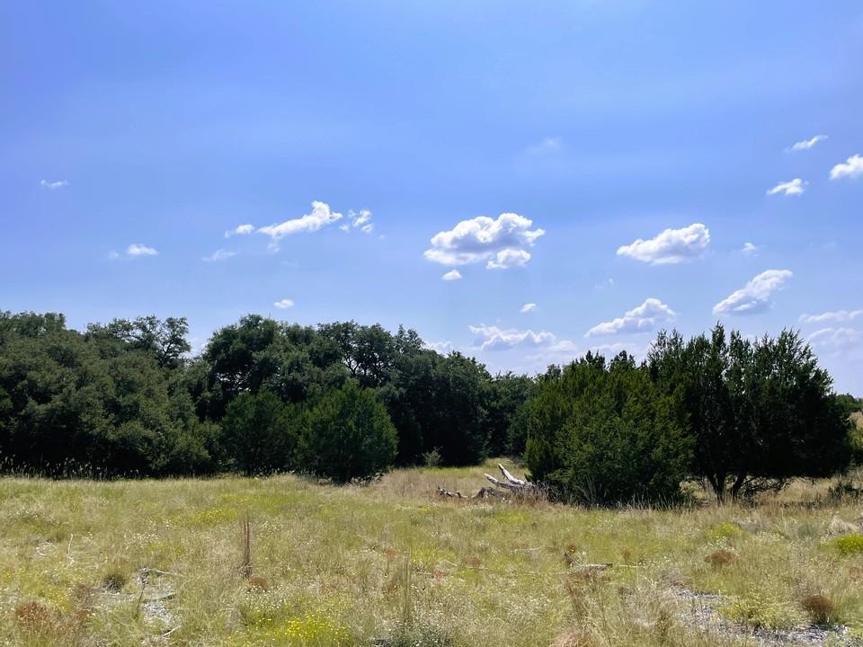 153 Live Oak Mott Dr, Goldthwaite, TX 76844