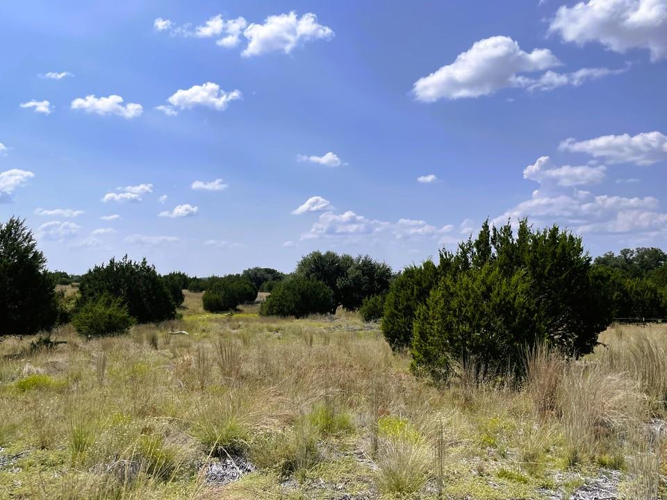 153 Live Oak Mott Dr, Goldthwaite, TX 76844