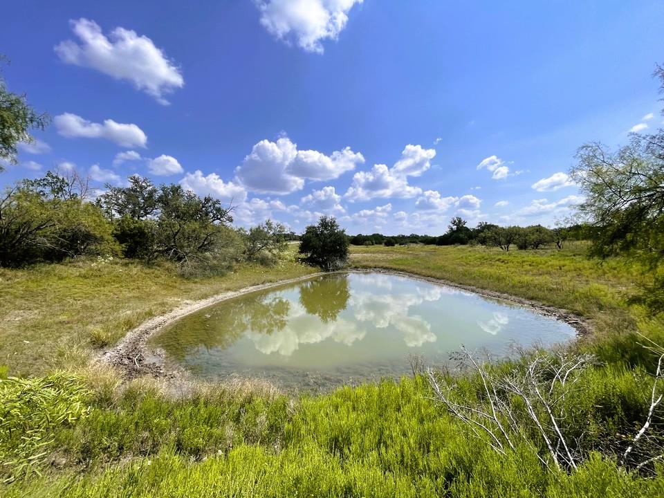 153 Live Oak Mott Dr, Goldthwaite, TX 76844