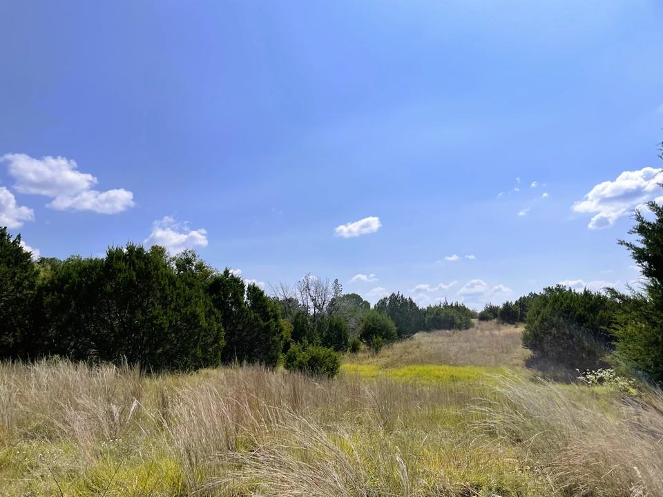 153 Live Oak Mott Dr, Goldthwaite, TX 76844