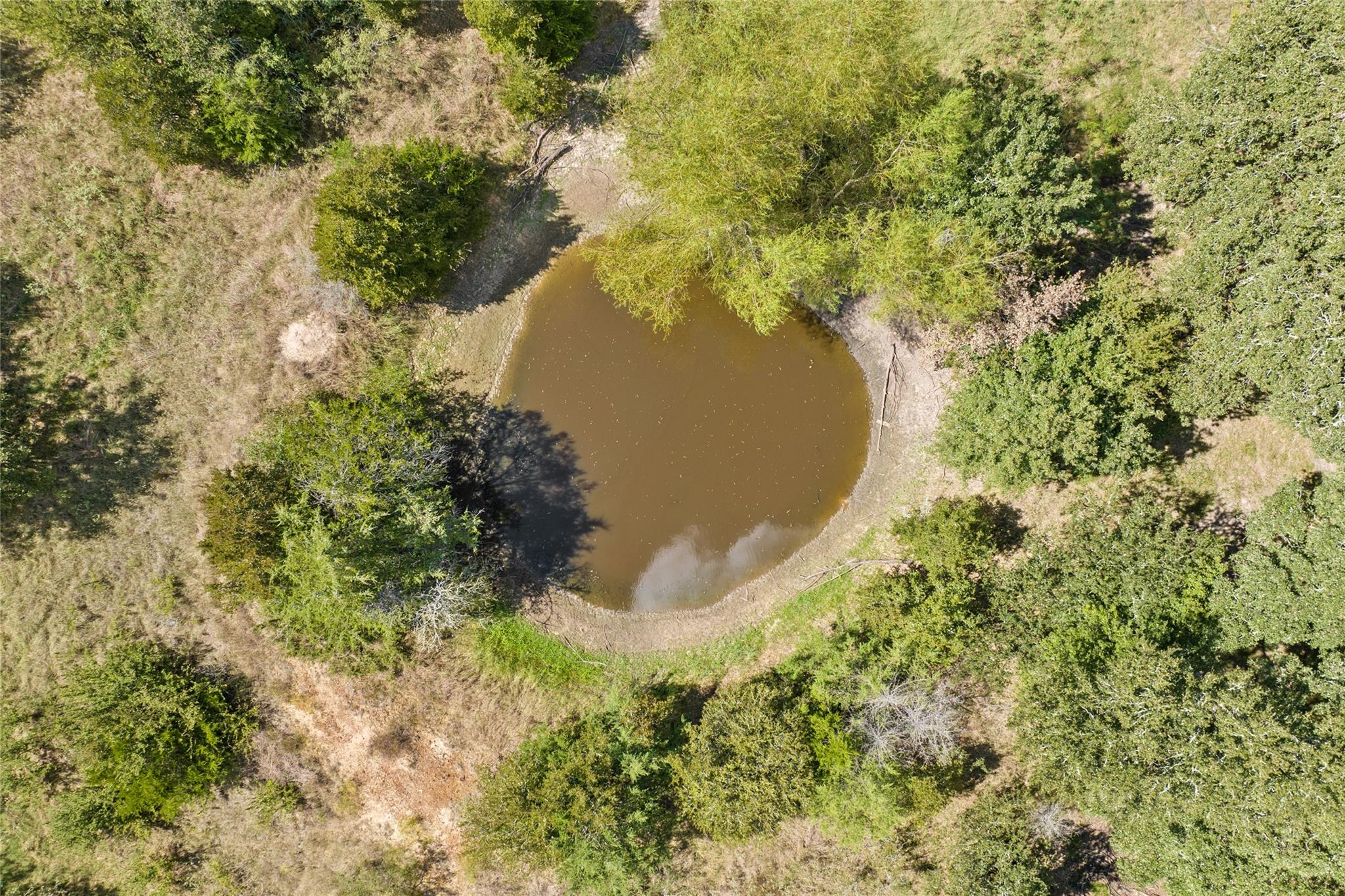 1098 FM 3403, Lincoln, TX 78948