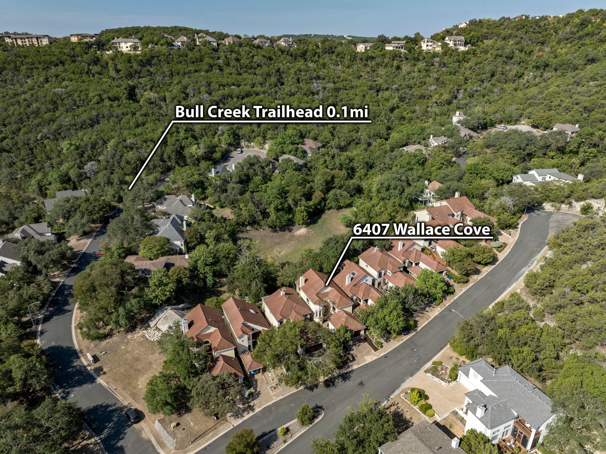 6407 Wallace Cv, Austin, TX 78750