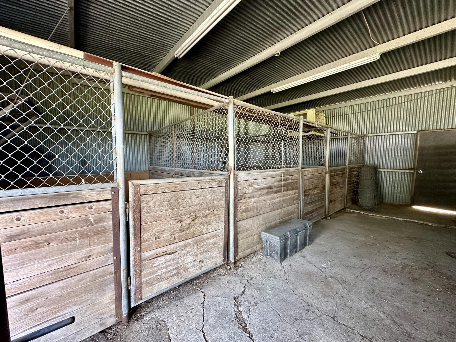 10745 & 10767 Rosemar Ln Ln, Adkins, TX 78101