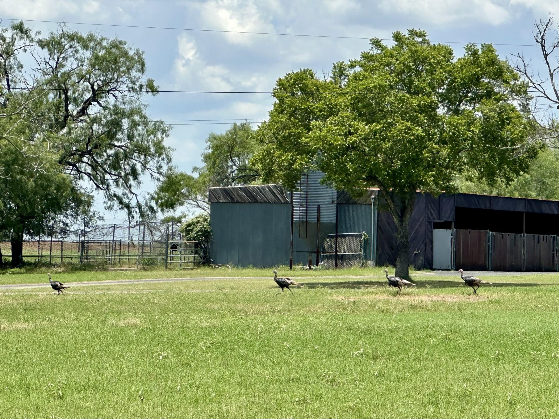 10745 & 10767 Rosemar Ln Ln, Adkins, TX 78101