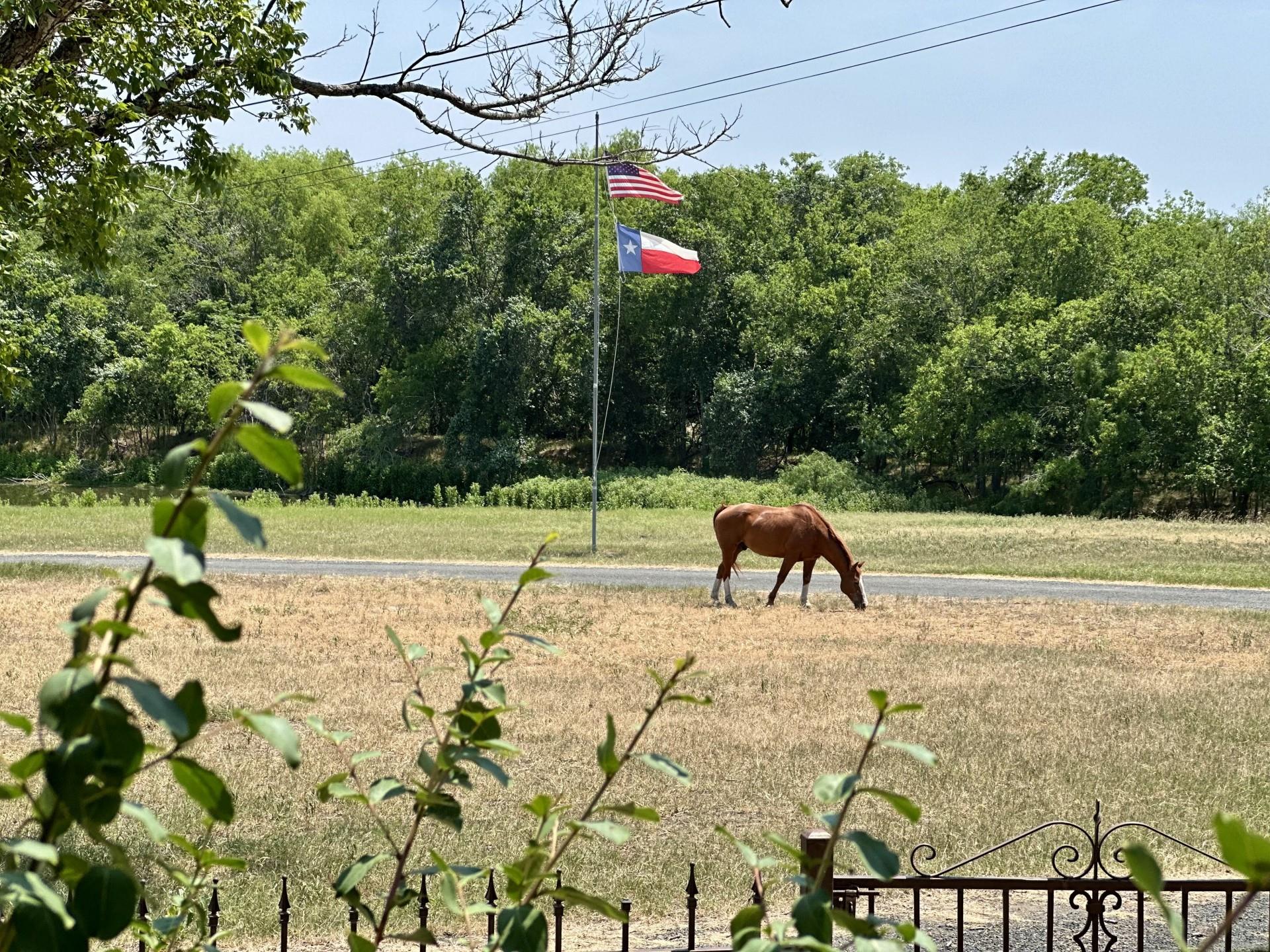 10745 & 10767 Rosemar Ln Ln, Adkins, TX 78101