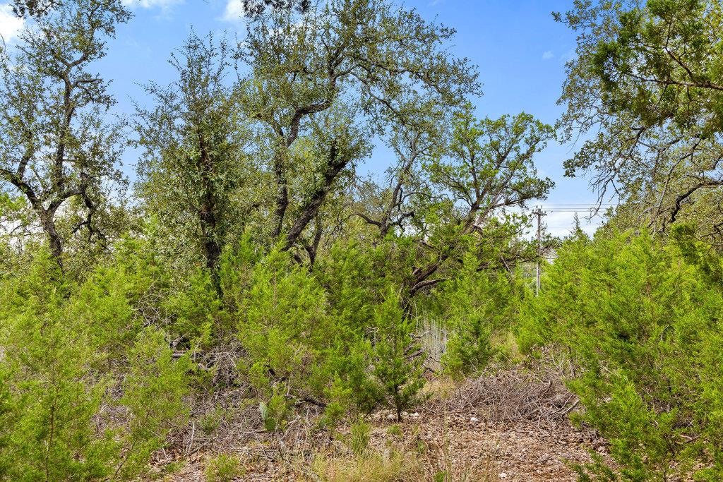 18305 Cedar Sage Ct, Lago Vista, TX 78645