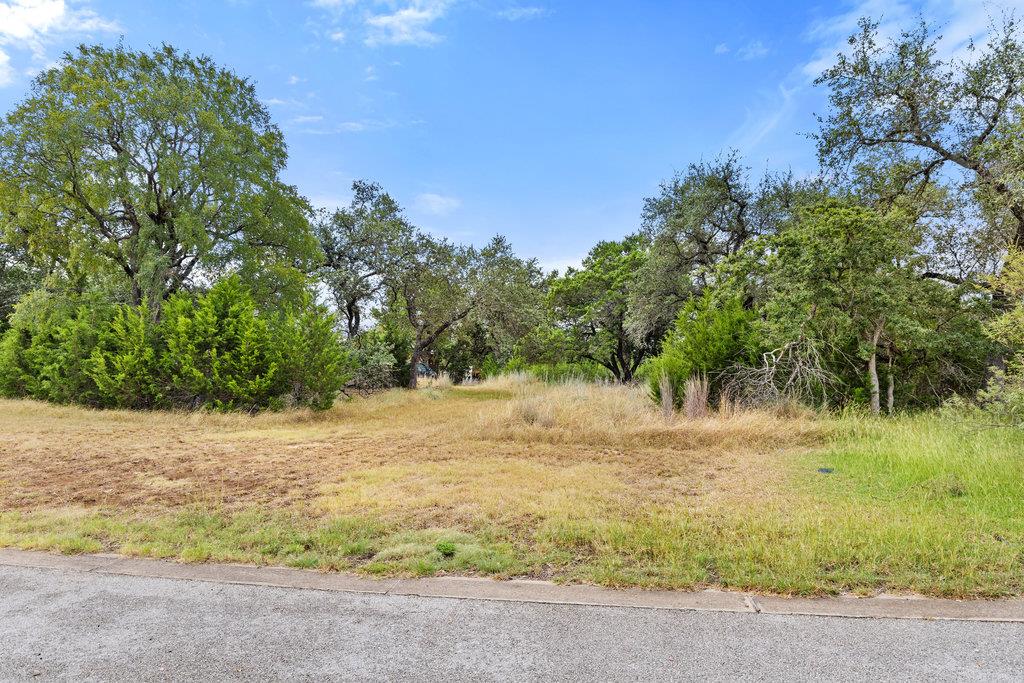 18305 Cedar Sage Ct, Lago Vista, TX 78645