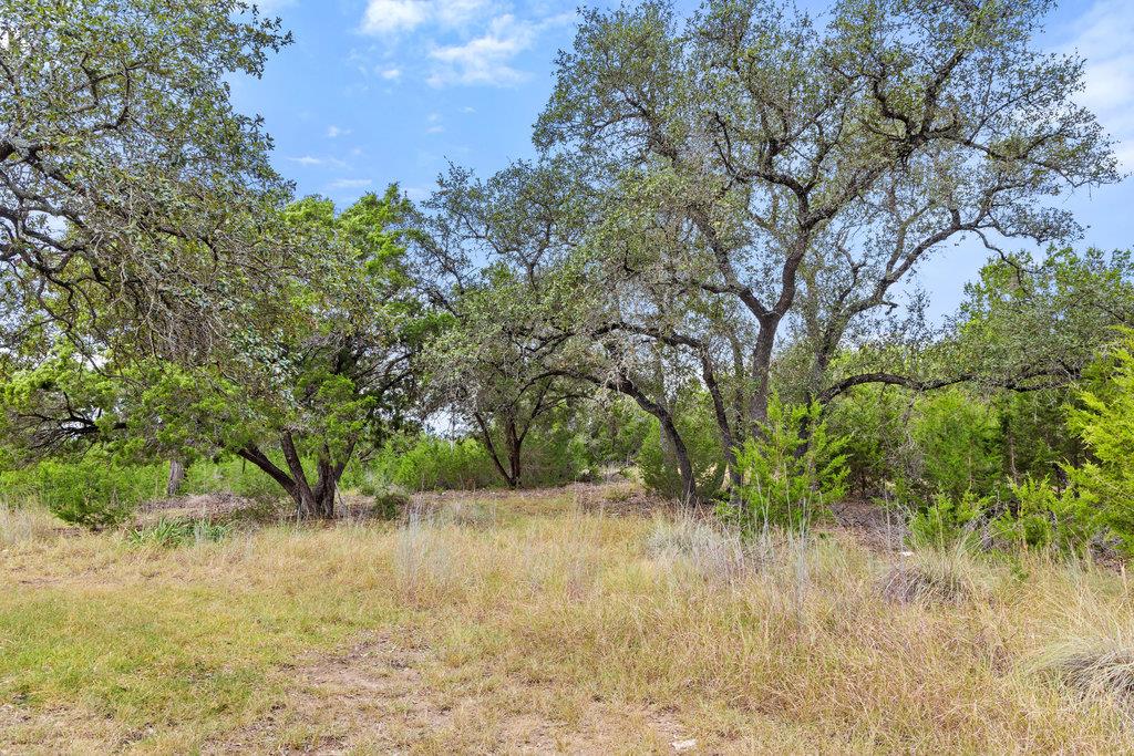 18305 Cedar Sage Ct, Lago Vista, TX 78645