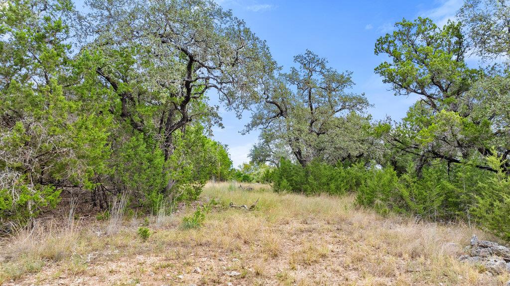 18305 Cedar Sage Ct, Lago Vista, TX 78645