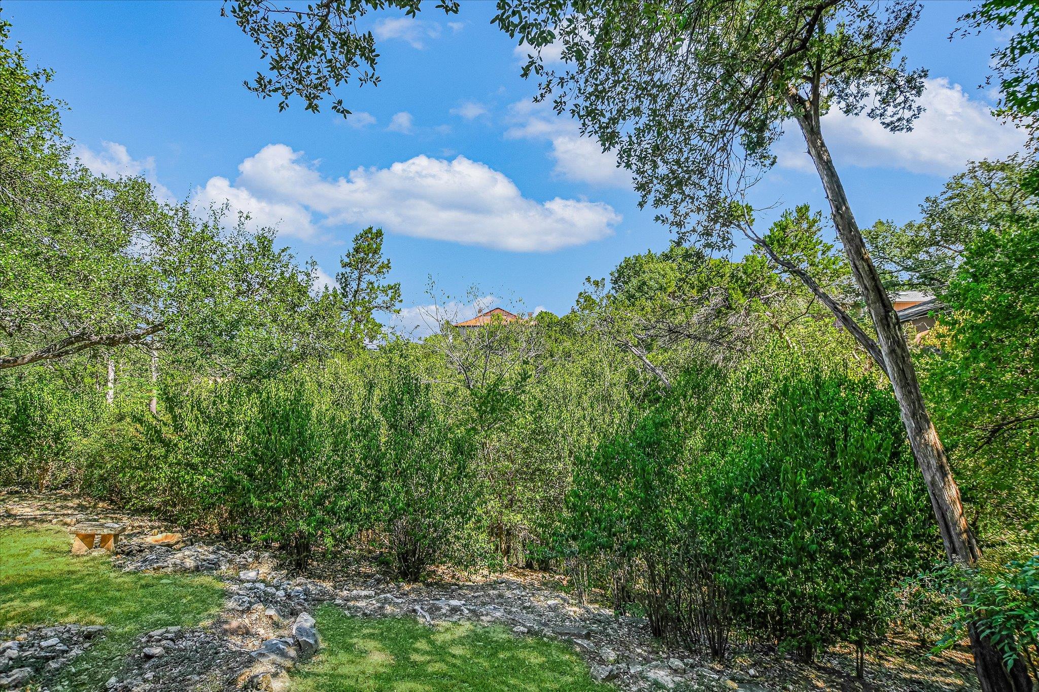 4110 Bluffridge Dr, Austin, TX 78759