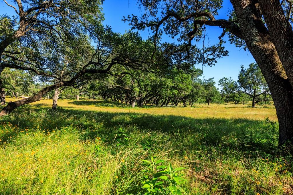 3736-4 County Rd 113 Rd, Llano, TX 78643