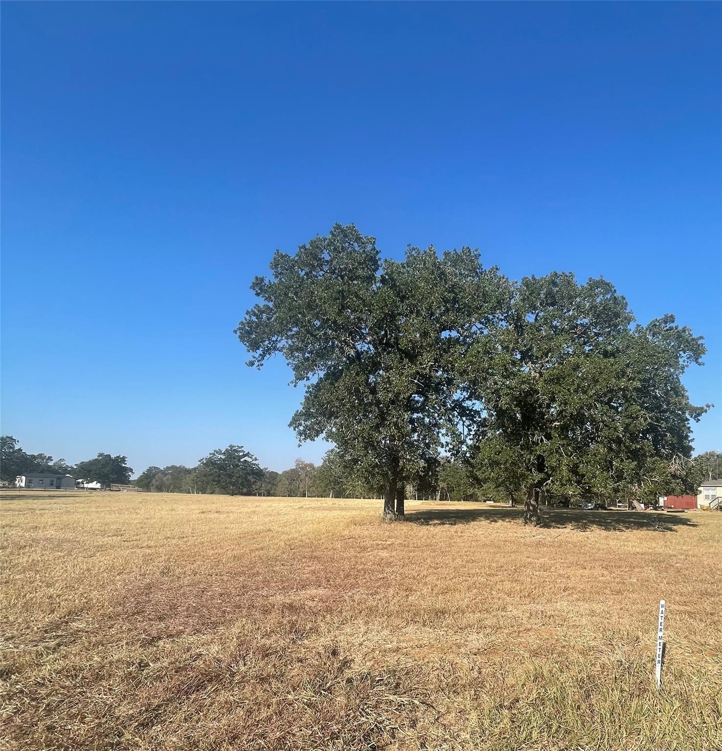 TBD League Line Rd, Paige, TX 78659