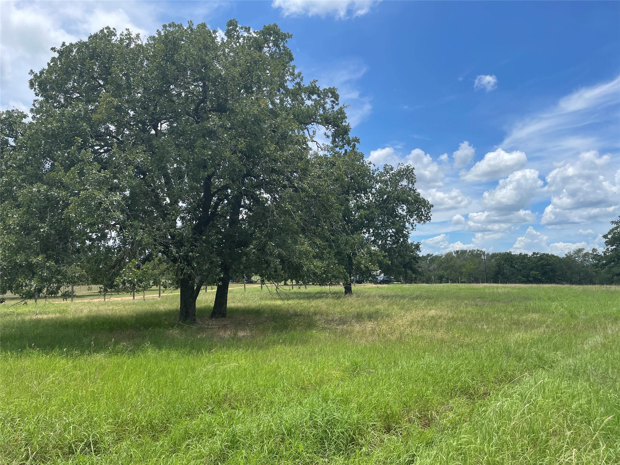 TBD League Line Rd, Paige, TX 78659