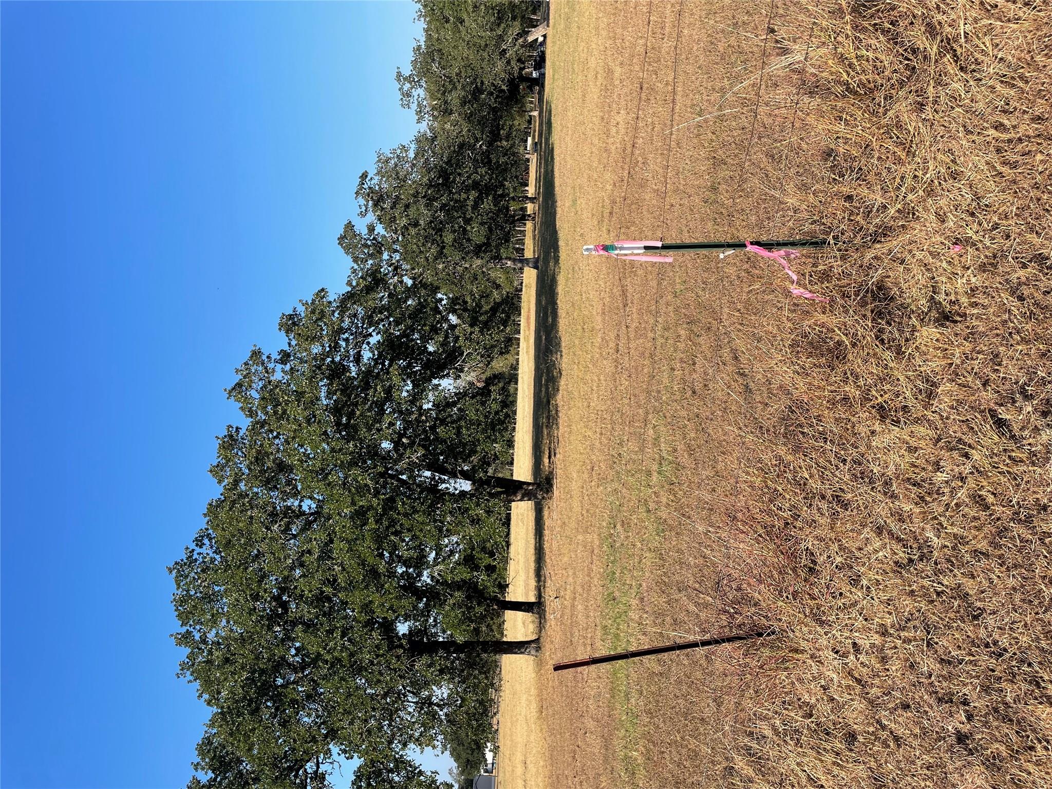 TBD League Line Rd, Paige, TX 78659