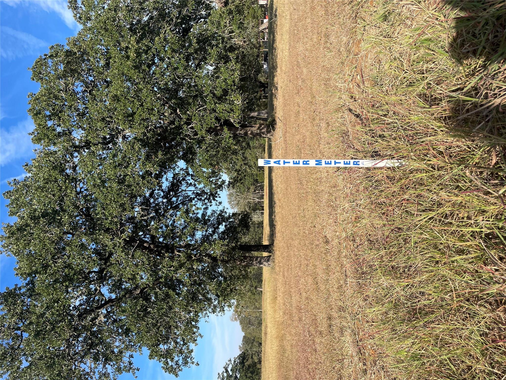 TBD League Line Rd, Paige, TX 78659