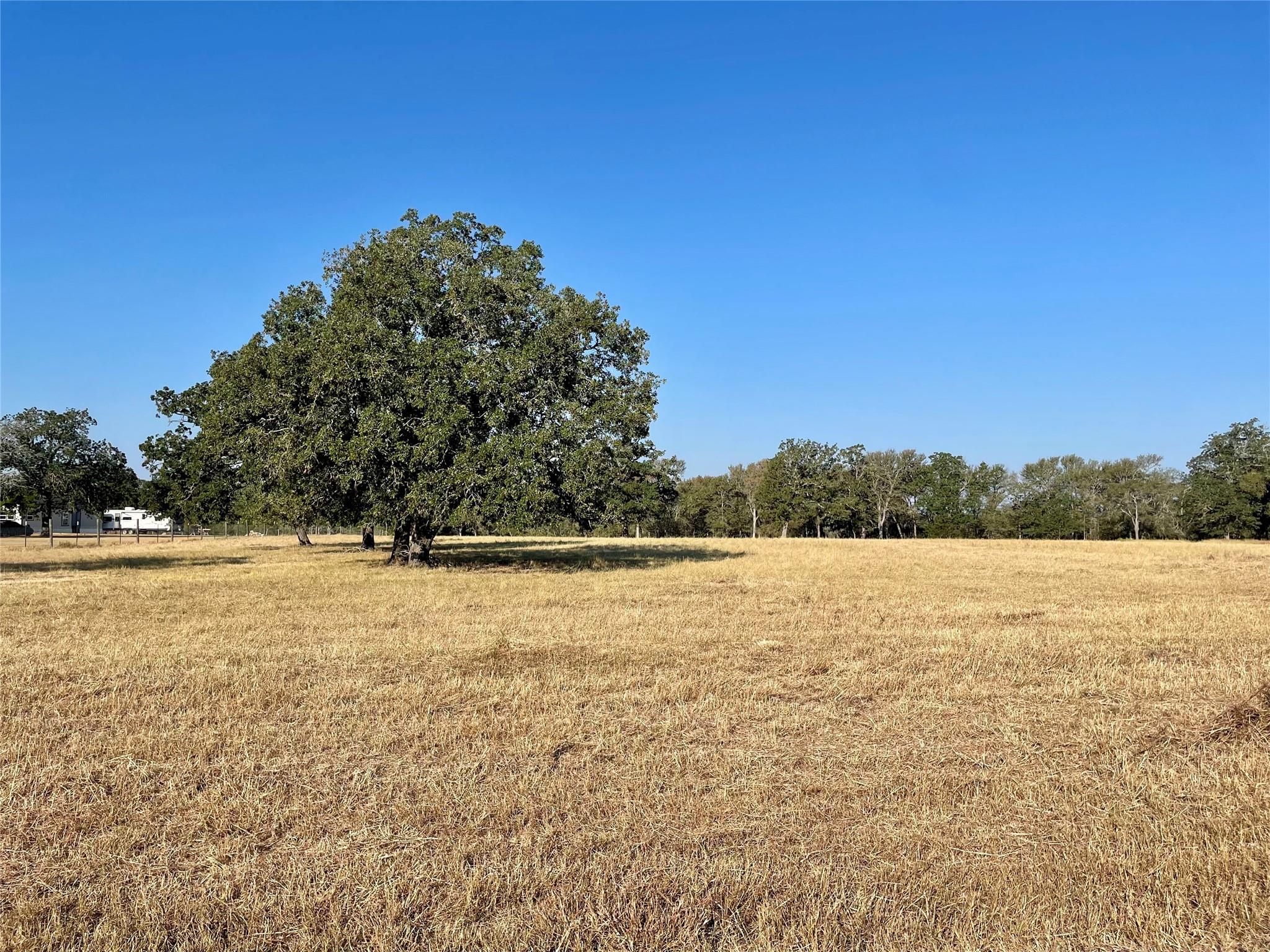 TBD League Line Rd, Paige, TX 78659