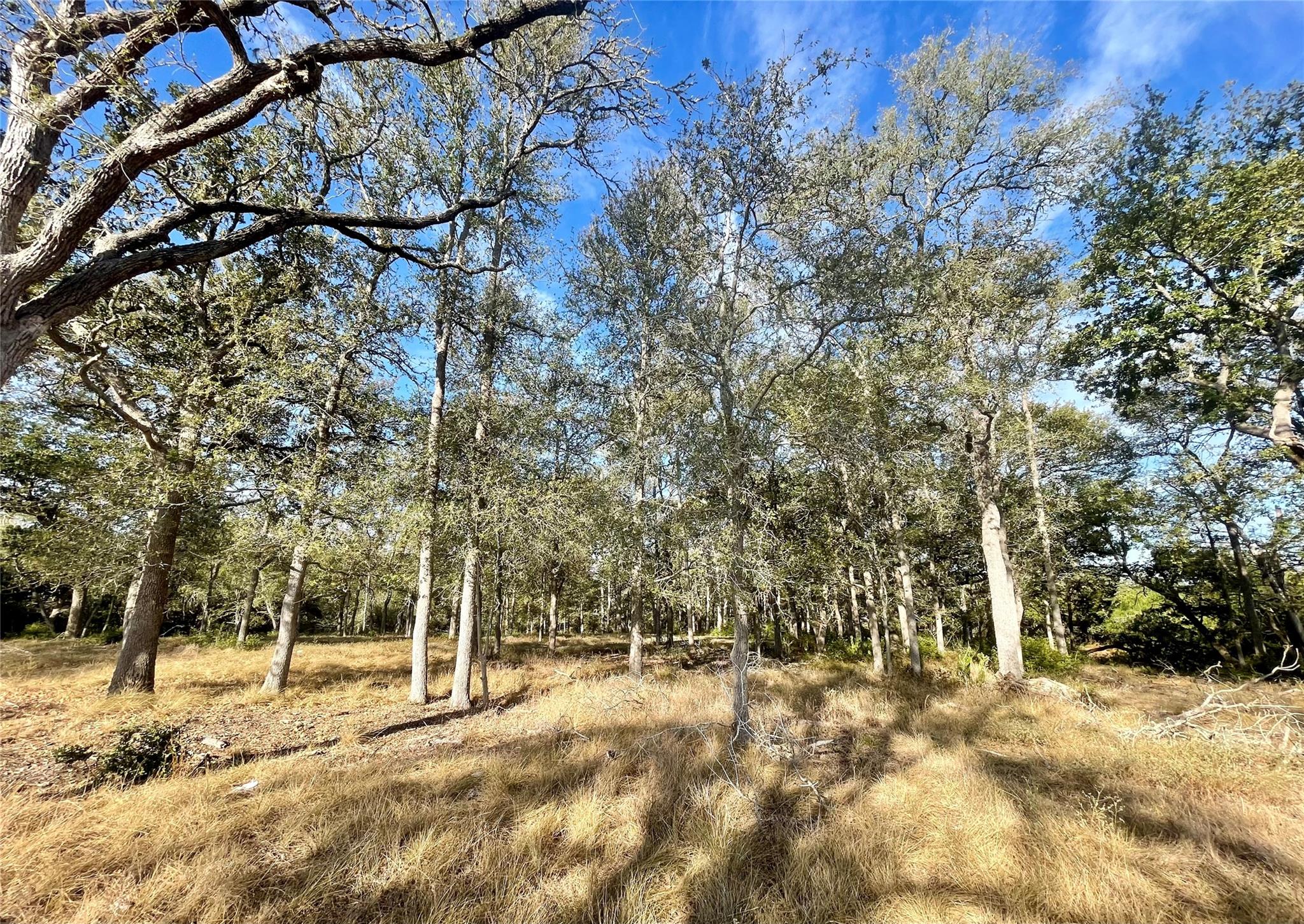 TBD League Line Rd, Paige, TX 78659