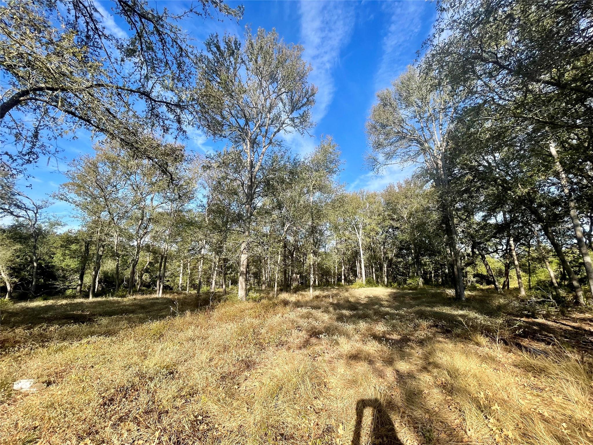 TBD League Line Rd, Paige, TX 78659