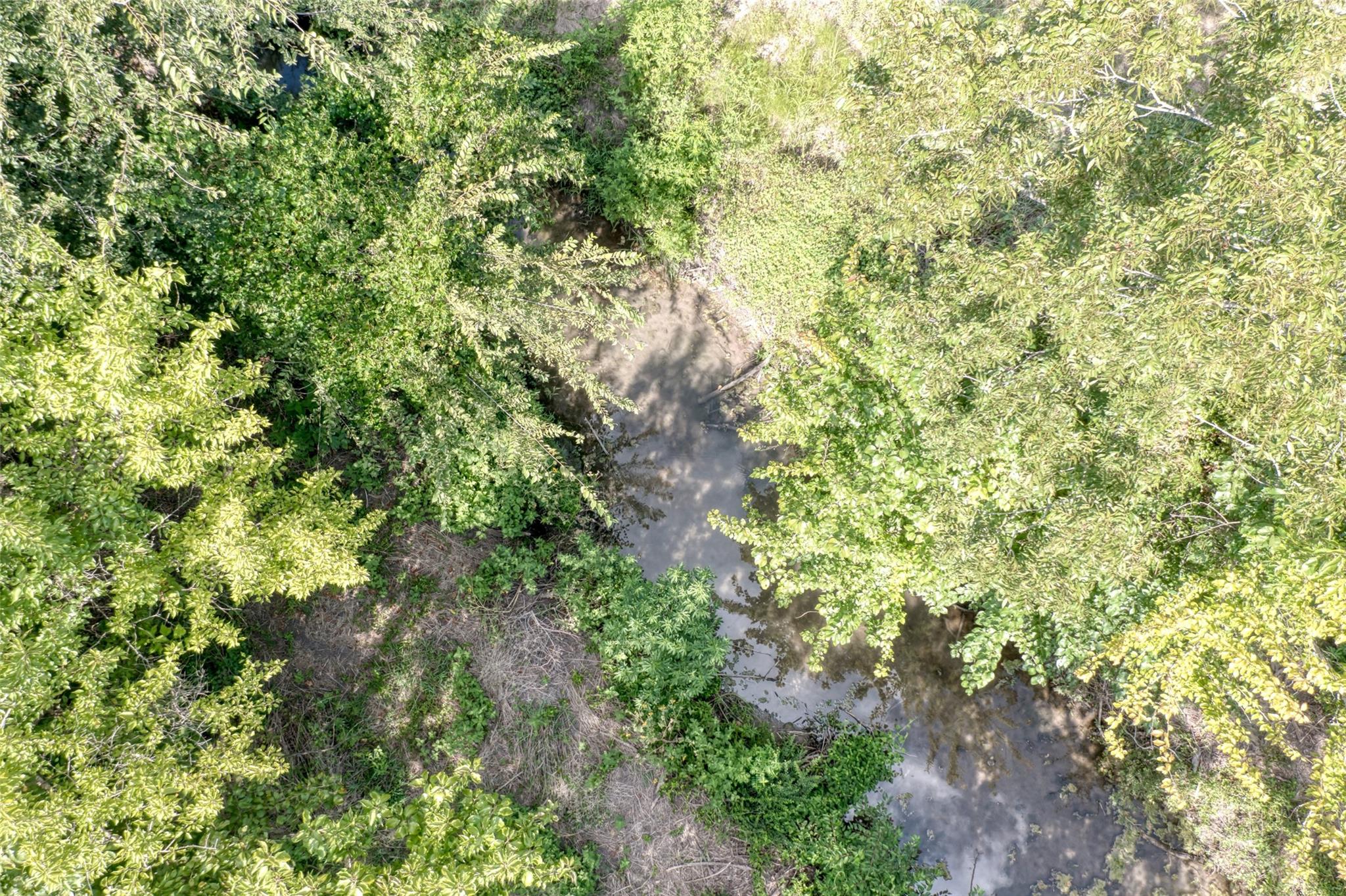 310 W Main St, Florence, TX 76527