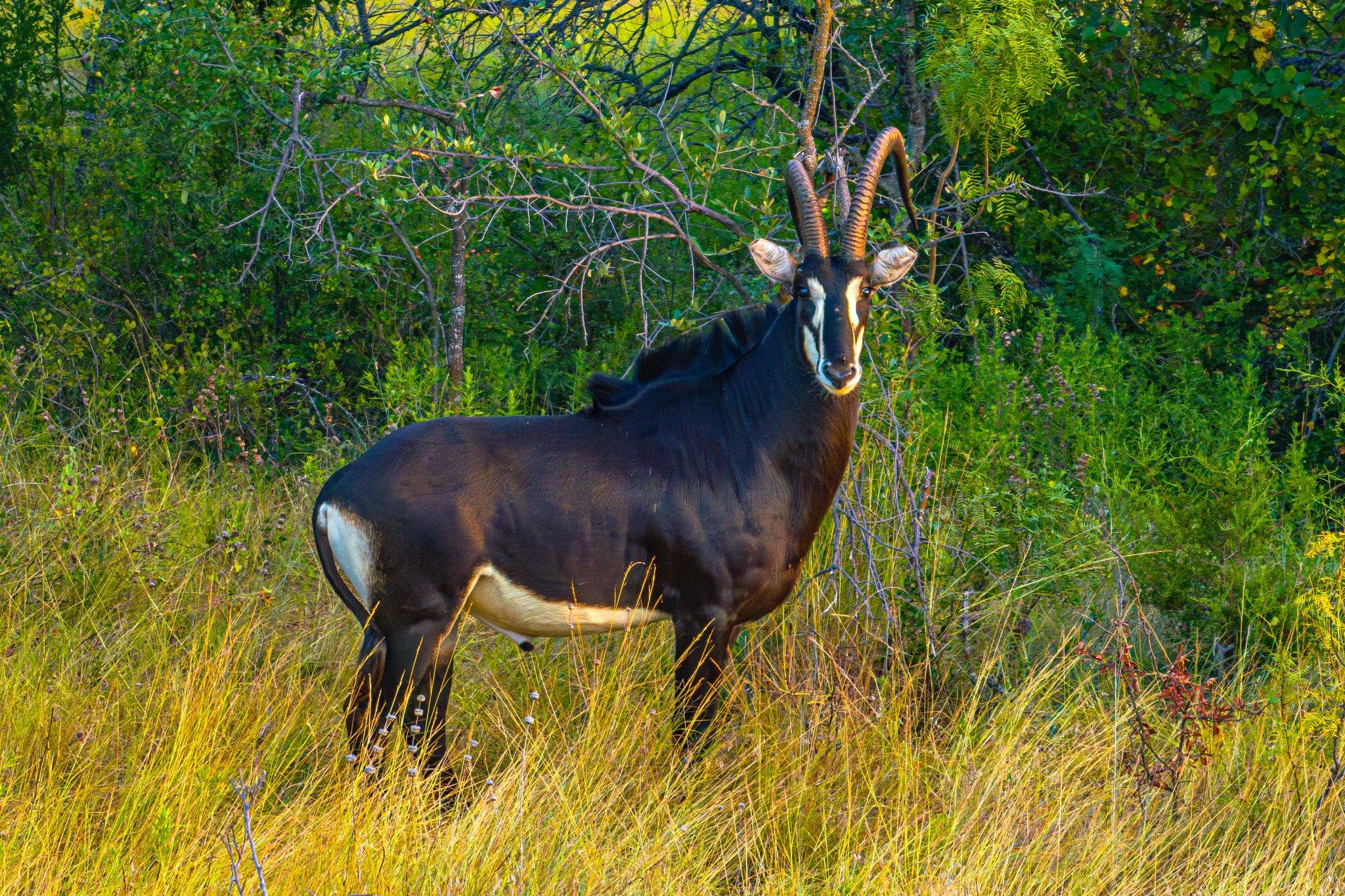 3021 Farm to Market 1689, Comanche, TX 76442