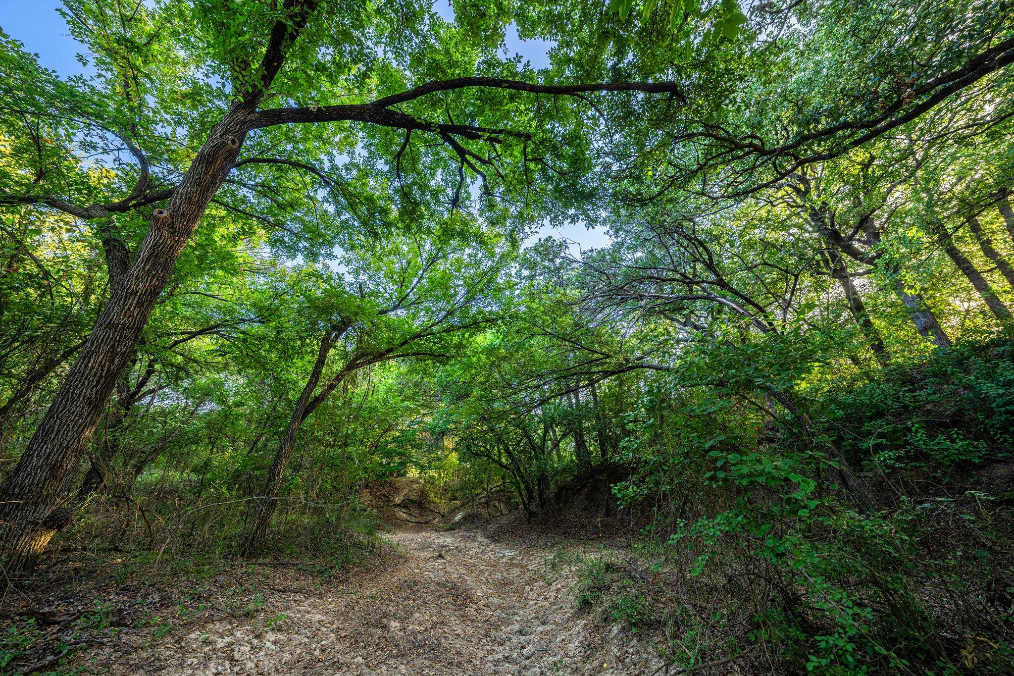 3021 Farm to Market 1689, Comanche, TX 76442