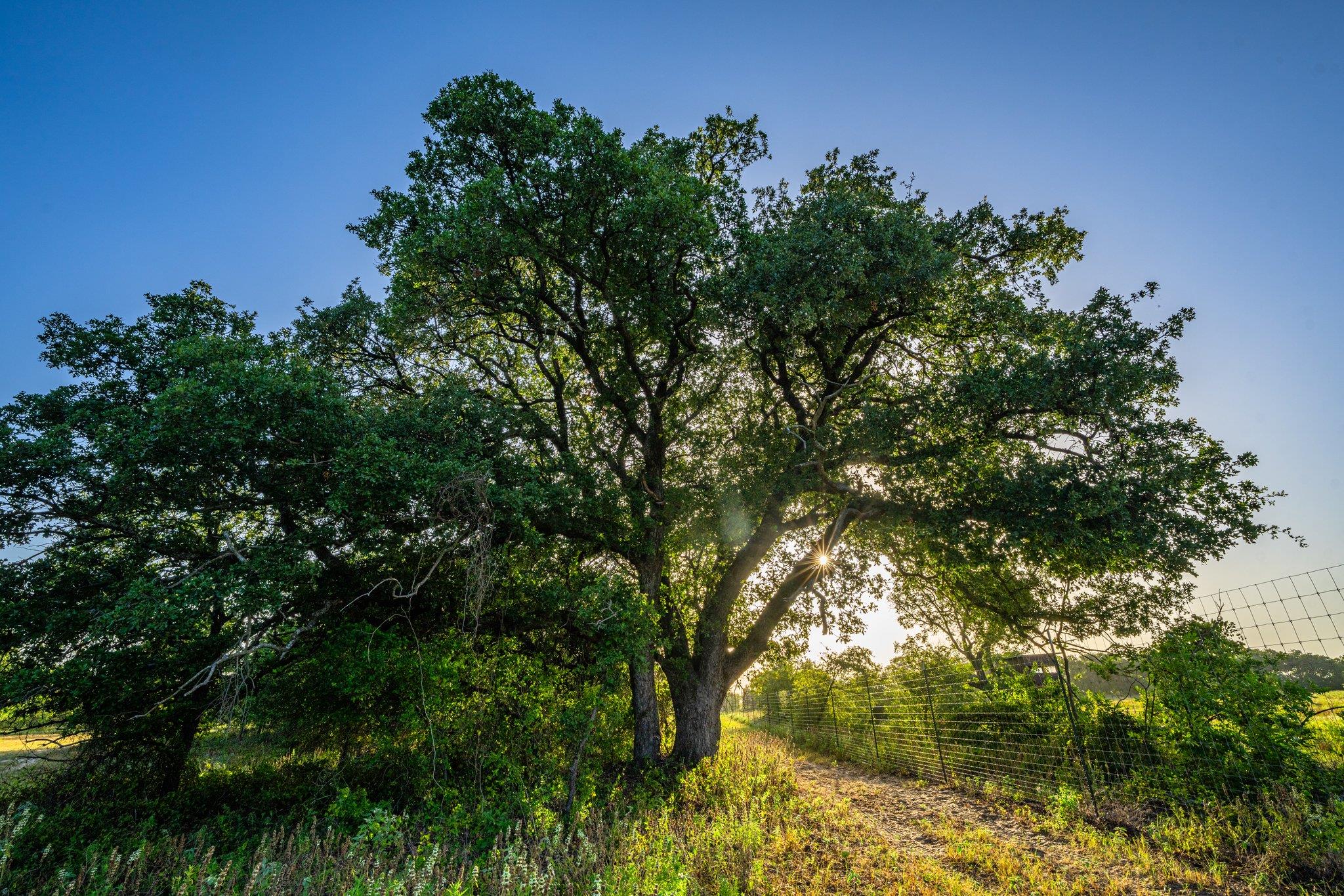 3021 Farm to Market 1689, Comanche, TX 76442