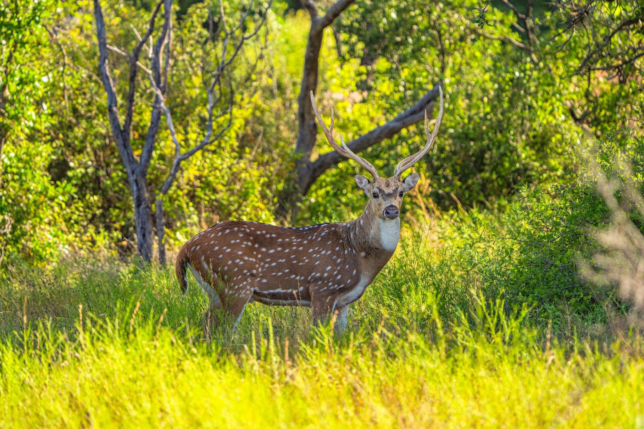 3021 Farm to Market 1689, Comanche, TX 76442