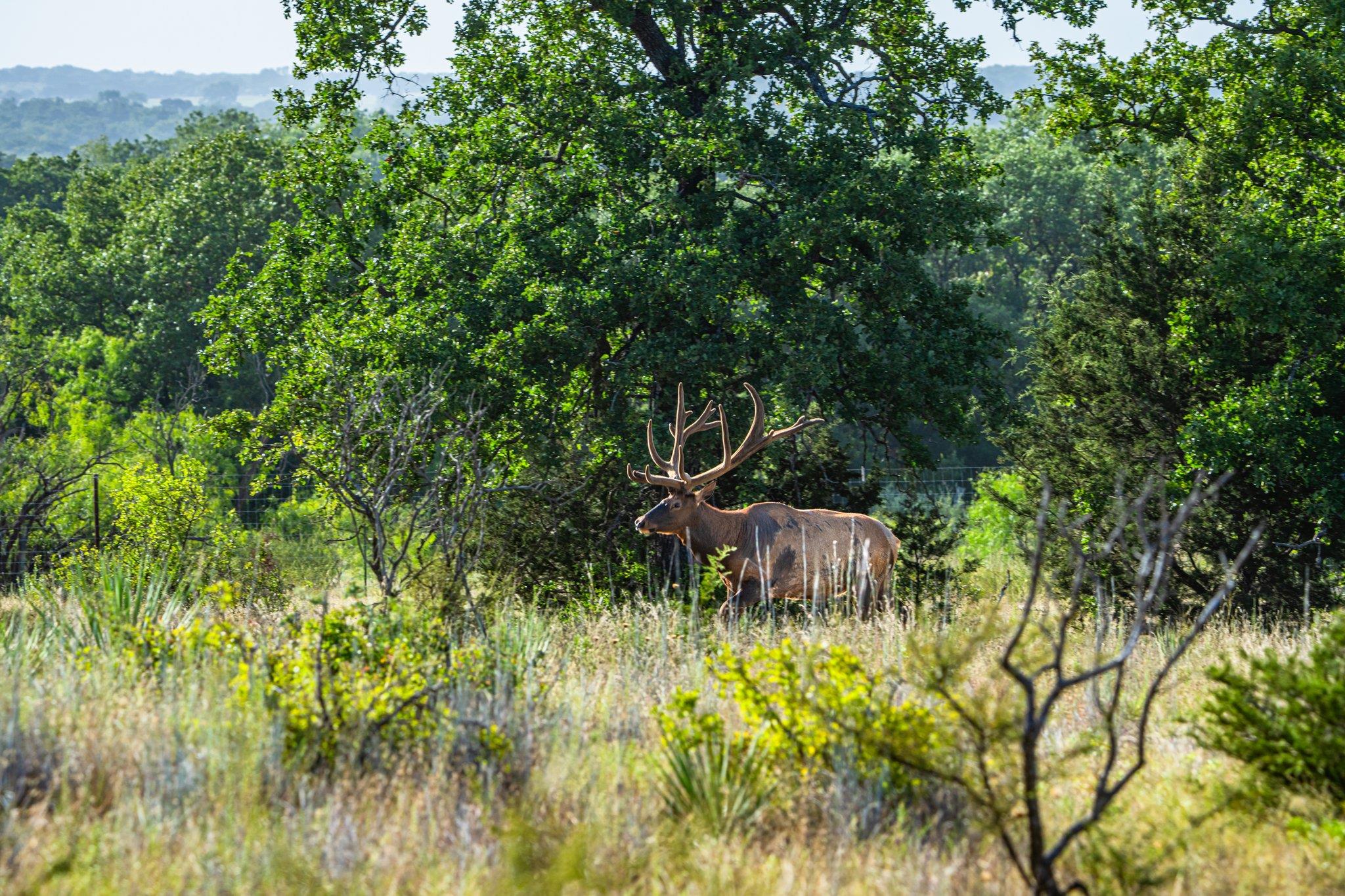 3021 Farm to Market 1689, Comanche, TX 76442