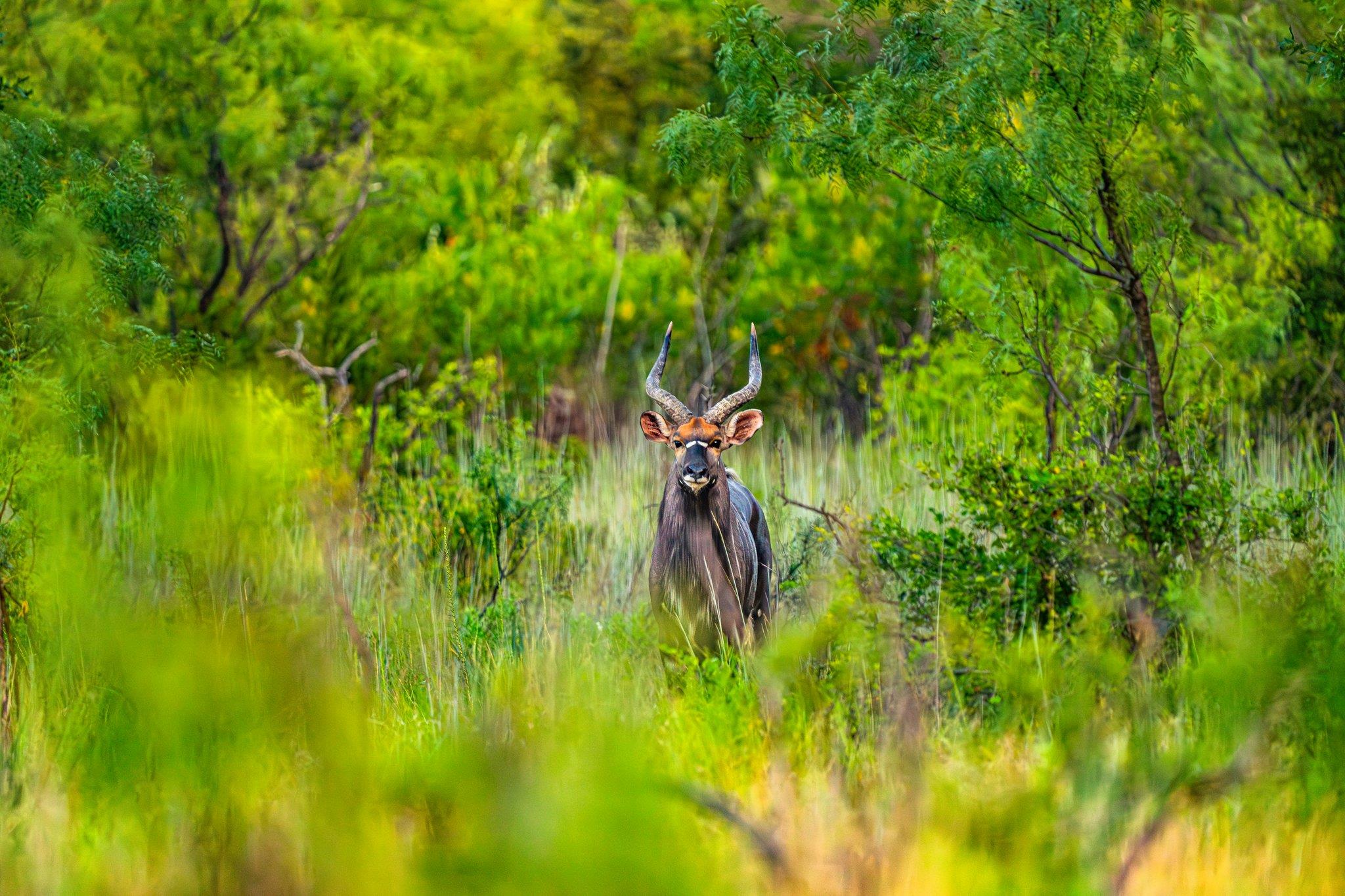 3021 Farm to Market 1689, Comanche, TX 76442