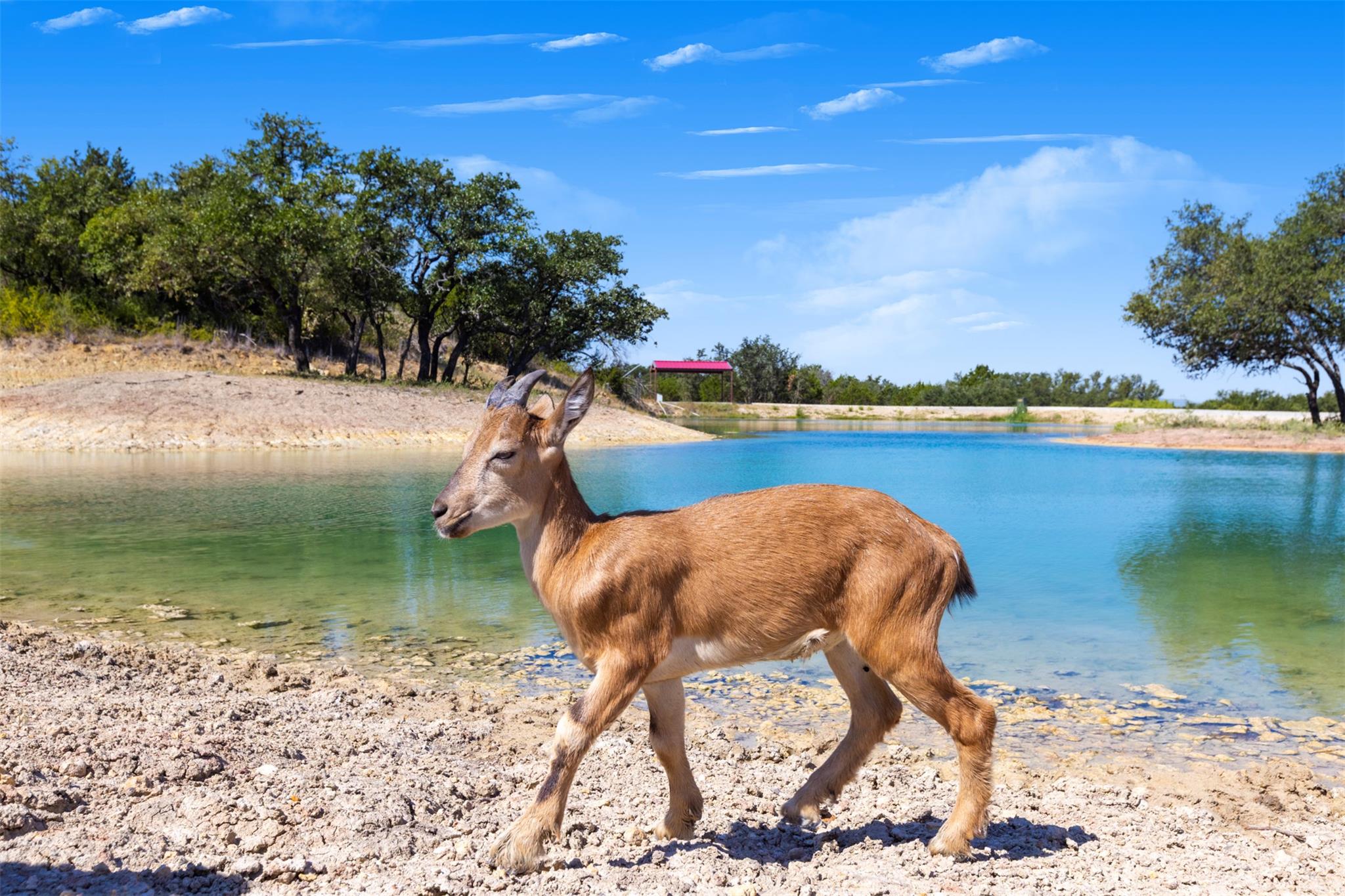 3021 Farm to Market 1689, Comanche, TX 76442