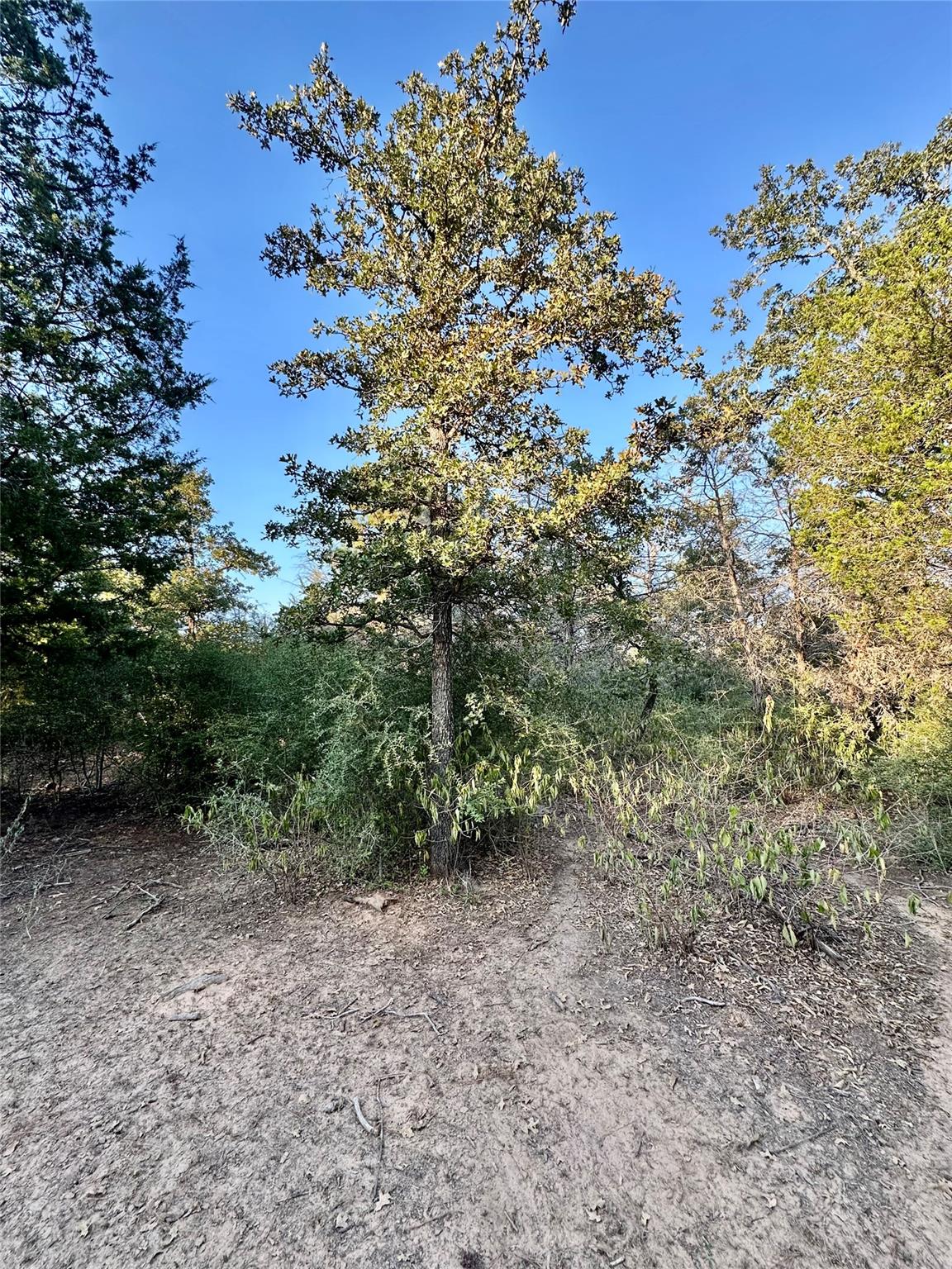 1053 E County Road F, Lexington, TX 78947