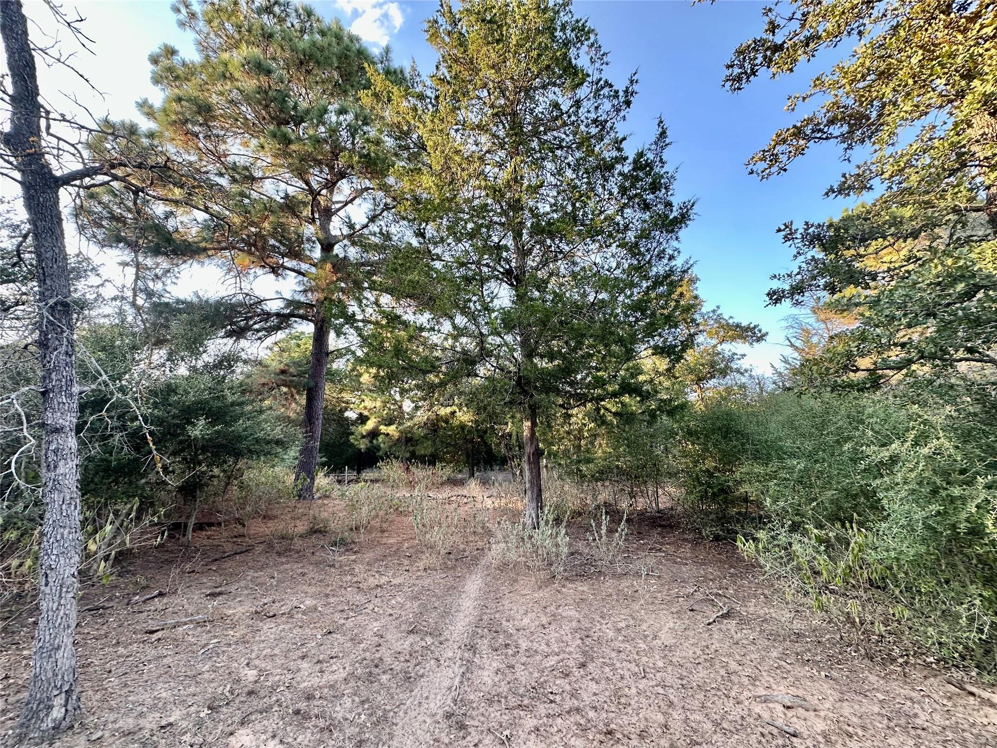 1053 E County Road F, Lexington, TX 78947