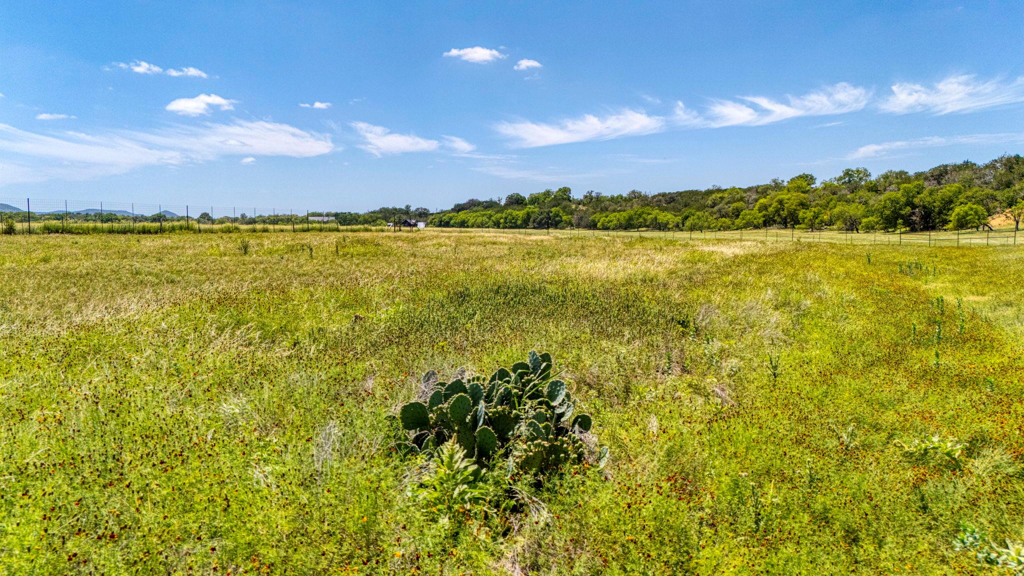 13132 State Highway 16 Highway, Medina, TX 78055